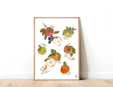 Load image into Gallery viewer, Heirloom Apples Print