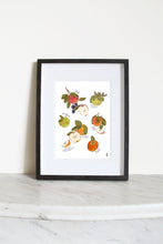 Load image into Gallery viewer, Heirloom Apples Print