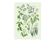 Load image into Gallery viewer, Spring Flowers Print