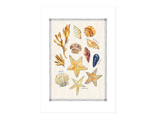 Load image into Gallery viewer, Sea Shells Print