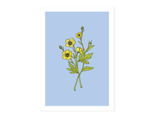 Load image into Gallery viewer, Buttercup Print