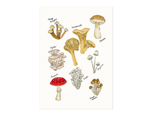 Load image into Gallery viewer, Mushroom Party Print