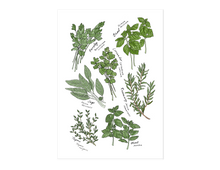 Load image into Gallery viewer, Kitchen Herbs Print