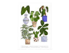 Load image into Gallery viewer, Houseplants Print