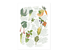 Load image into Gallery viewer, Seasonal Produce Print