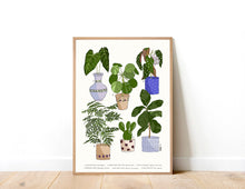 Load image into Gallery viewer, Houseplants Print