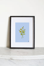 Load image into Gallery viewer, Buttercup Print
