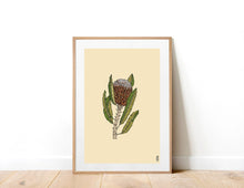 Load image into Gallery viewer, Banksia Flower Print