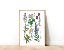 Load image into Gallery viewer, Bristol Native Flora Print