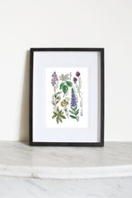 Load image into Gallery viewer, Bristol Native Flora Print