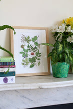 Load image into Gallery viewer, Trees of the UK Print