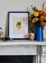 Load image into Gallery viewer, Banksia Flower Print