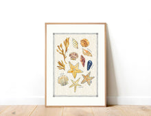 Load image into Gallery viewer, Sea Shells Print