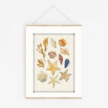Load image into Gallery viewer, Sea Shells Print
