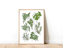 Load image into Gallery viewer, Kitchen Herbs Print