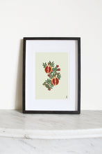 Load image into Gallery viewer, Pomegranates and Butterflies Print
