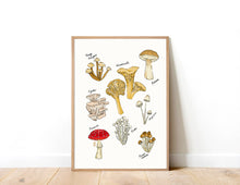 Load image into Gallery viewer, Mushroom Party Print
