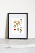 Load image into Gallery viewer, Mushroom Party Print