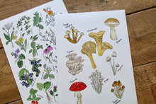 Load image into Gallery viewer, Mushroom Party Print