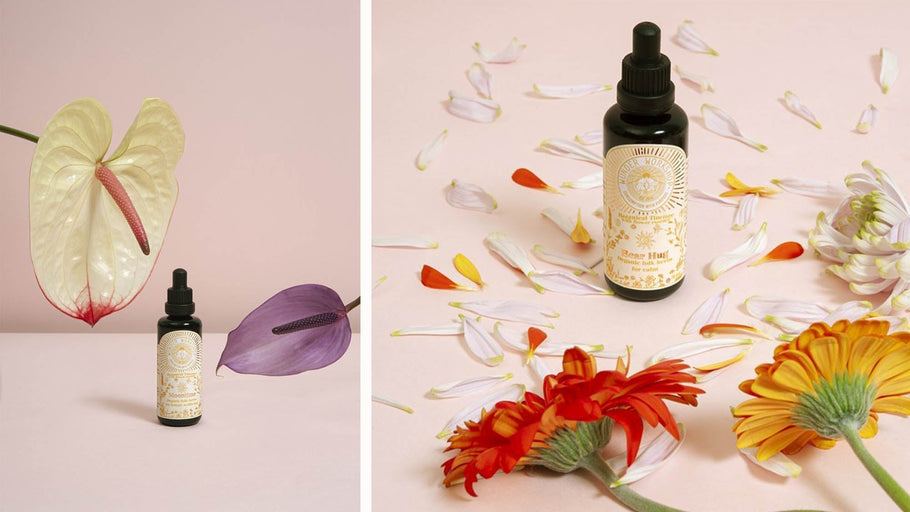 Looking Back: An ingredient map & Illustrated packaging for Wunder Workshop