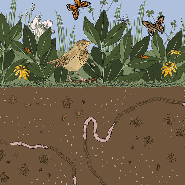 Looking back: Google Arts & Culture, Biodiversity and the Web of Life