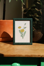 Load image into Gallery viewer, Set of 3 A6 Floral Mini-prints
