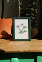 Load image into Gallery viewer, Set of 3 A6 Floral Mini-prints
